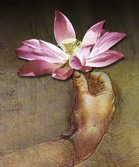 OMT hand lotus